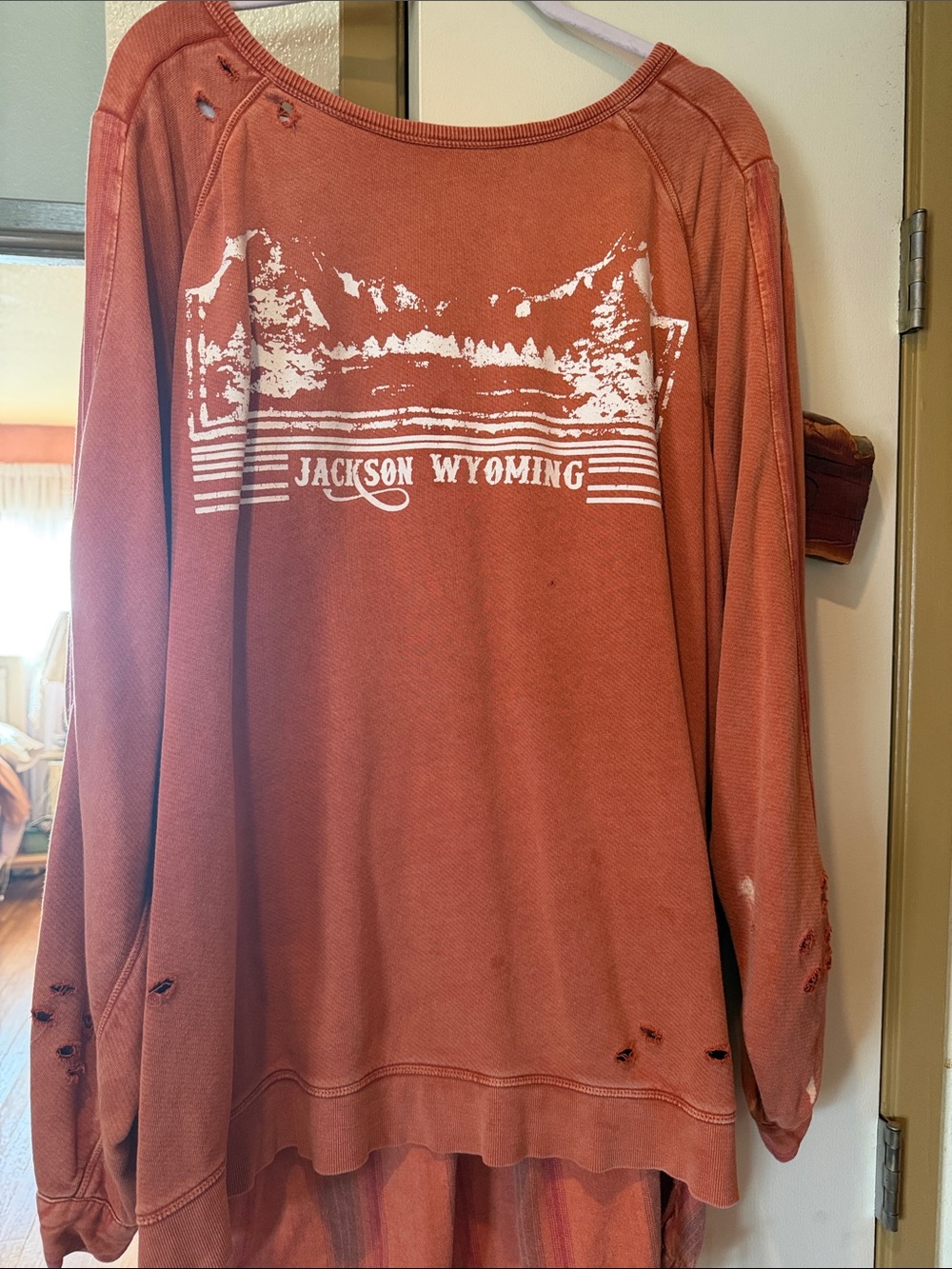 Free People Distressed Rust Jackson Crewneck tunic Sweatshirt